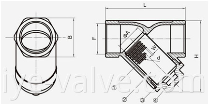 Y Strainer